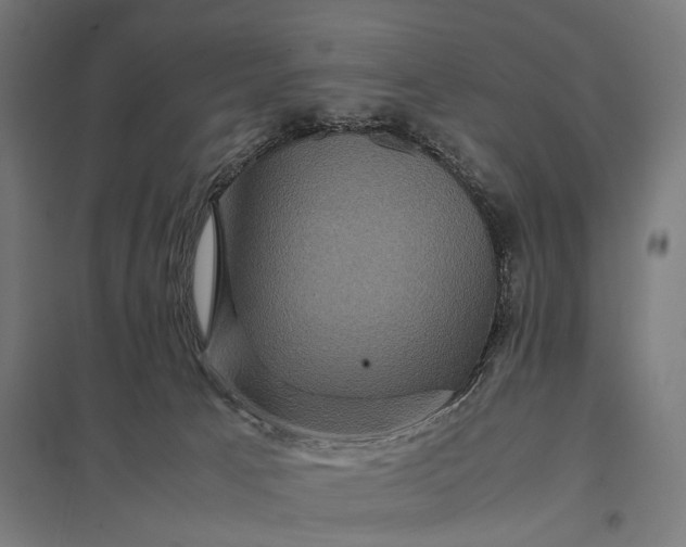 X0000097840033200803281234