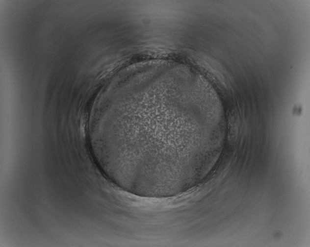 X0000097840034200803281234