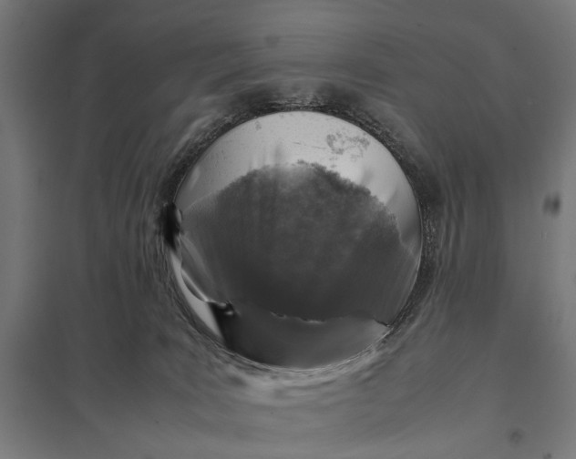 X0000097840035200803281234