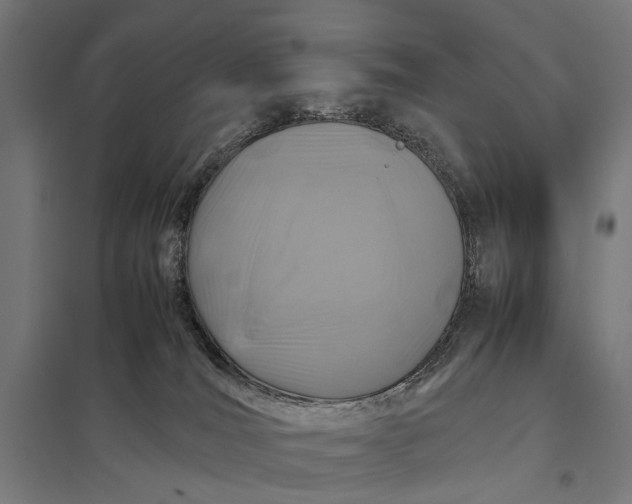X0000097840036200803281234