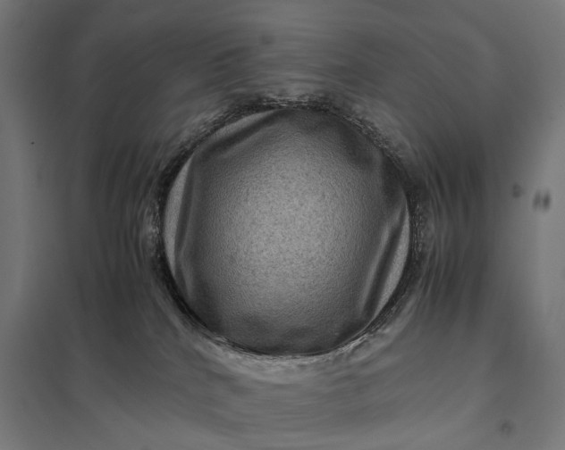 X0000097840040200803281234