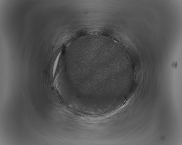 X0000097840041200803281234
