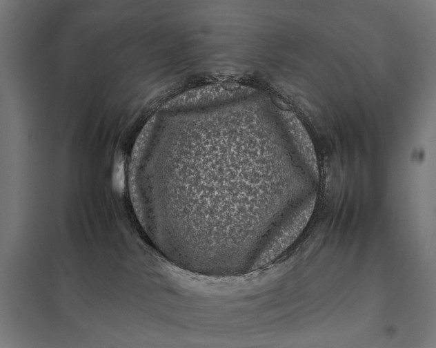 X0000097840042200803281234