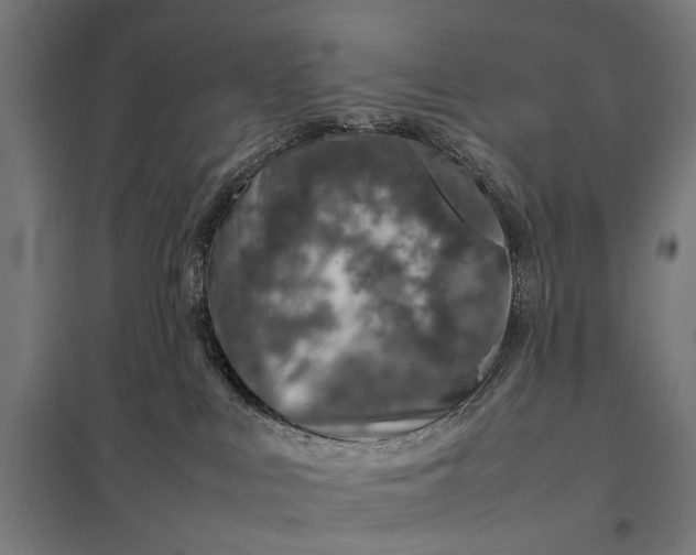 X0000097840043200803281234