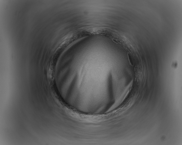 X0000097840044200803281234