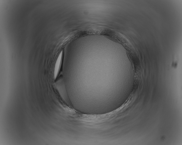 X0000097840045200803281234