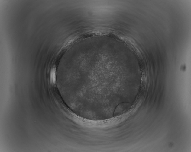 X0000097840046200803281234