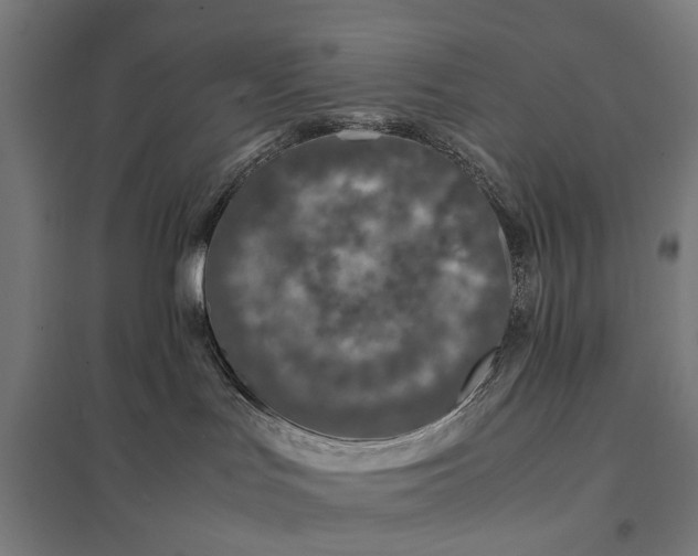 X0000097840047200803281234