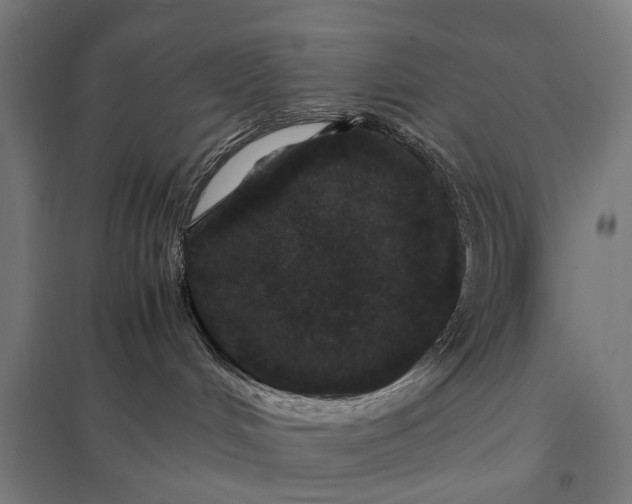 X0000097840048200803281234