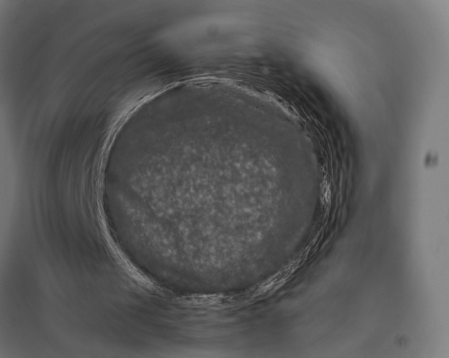 X0000097840049200803281233