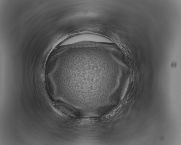 X0000097840050200803281233