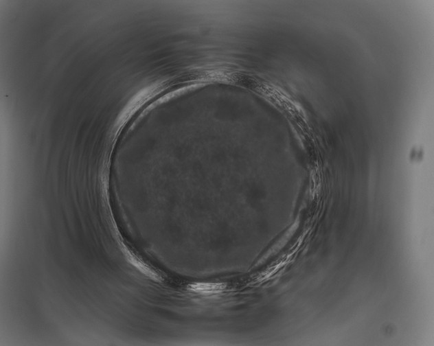 X0000097840051200803281233