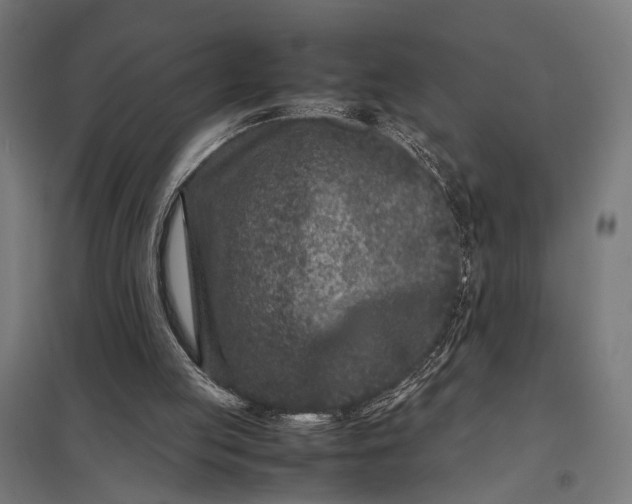 X0000097840053200803281233