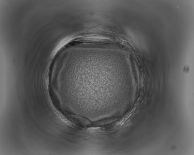 X0000097840054200803281233