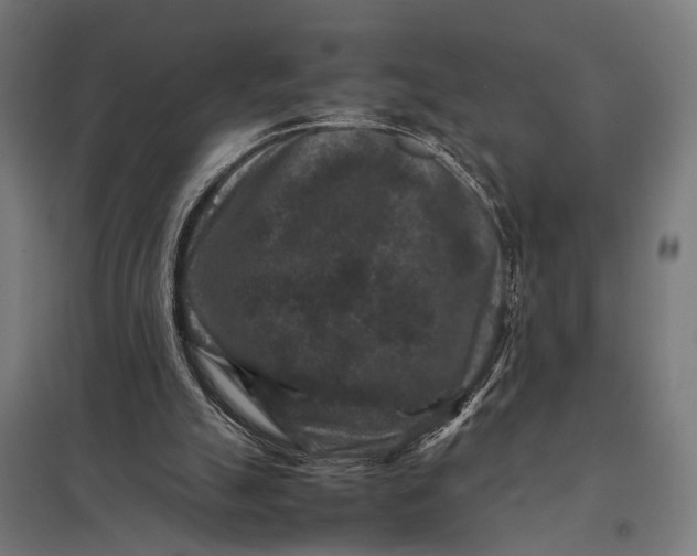 X0000097840055200803281233