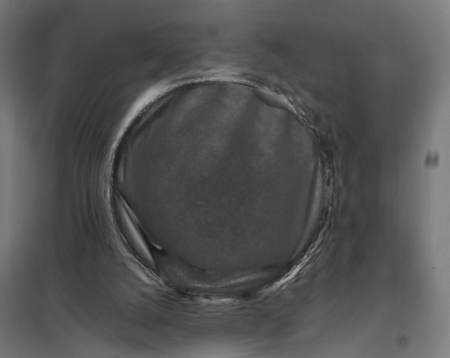 X0000097840056200803281233