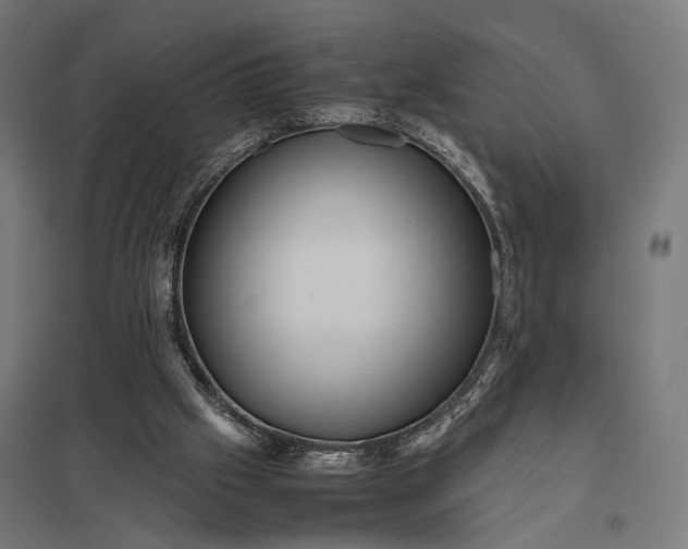 X0000097840057200803281233