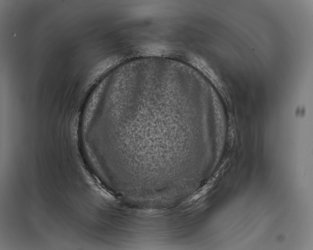 X0000097840058200803281233