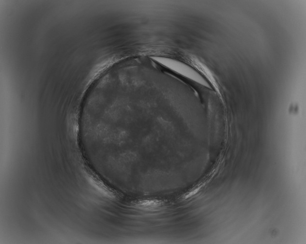 X0000097840059200803281233