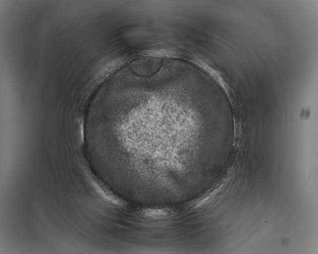X0000097840061200803281233
