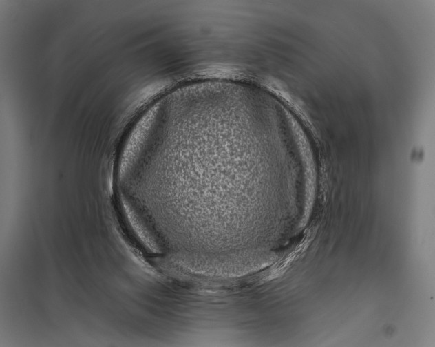 X0000097840062200803281234