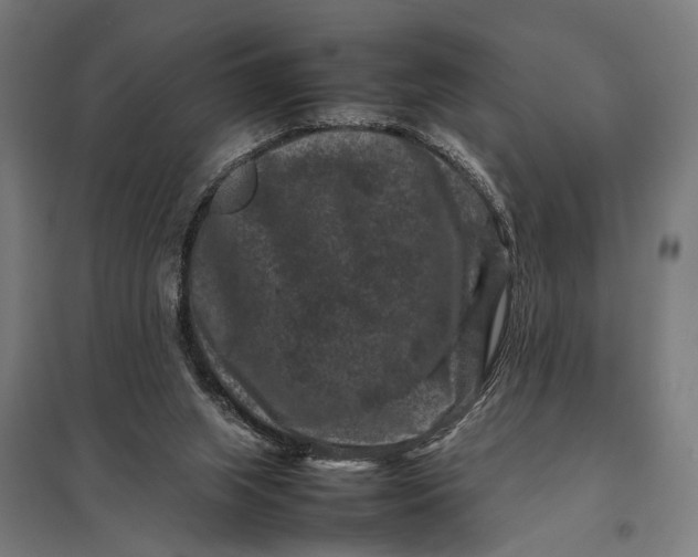 X0000097840063200803281234