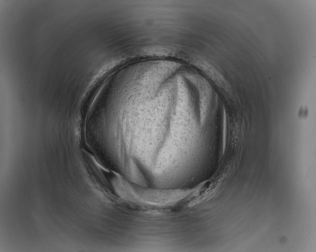 X0000097840064200803281234