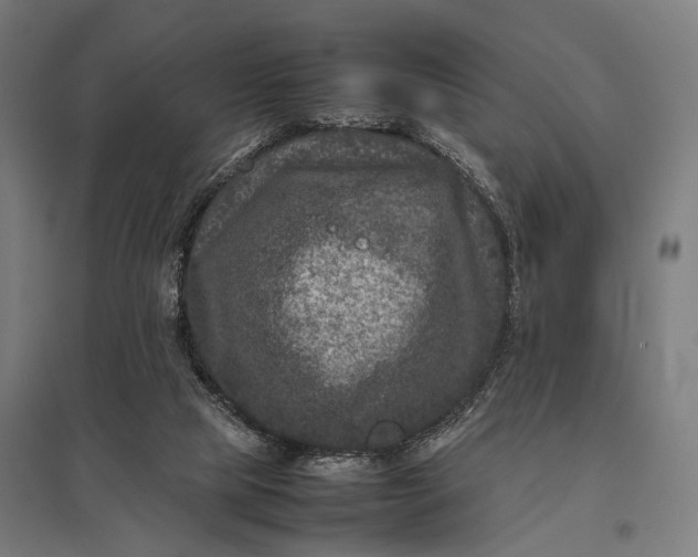 X0000097840065200803281234