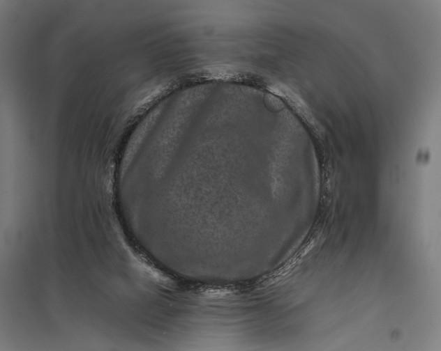 X0000097840066200803281234