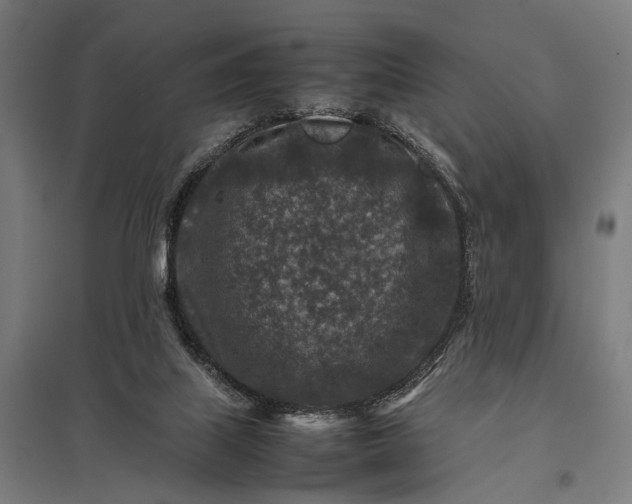 X0000097840067200803281234