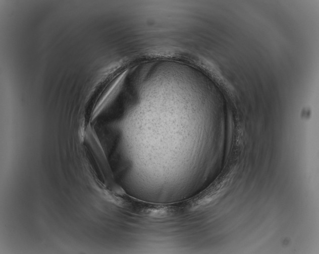 X0000097840068200803281234