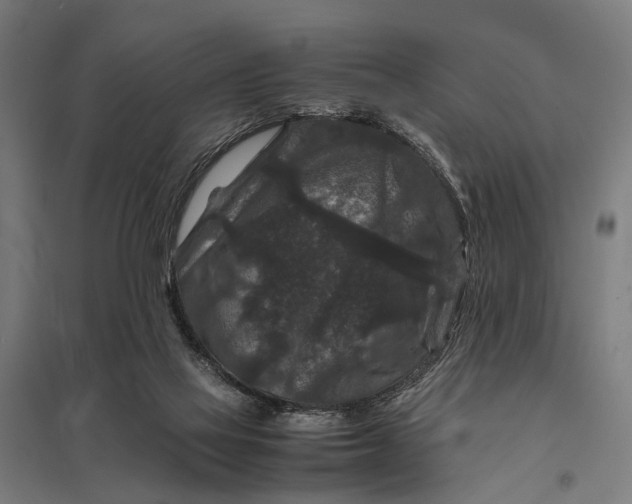 X0000097840069200803281234