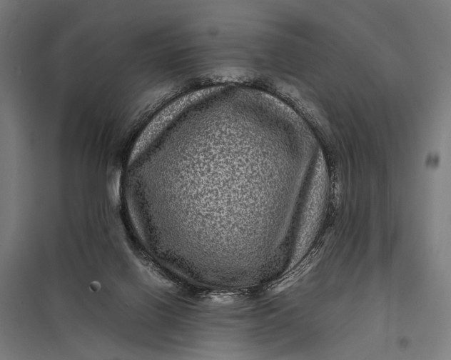 X0000097840070200803281234