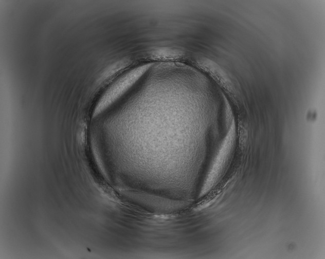 X0000097840071200803281234
