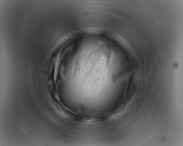 X0000097840072200803281234