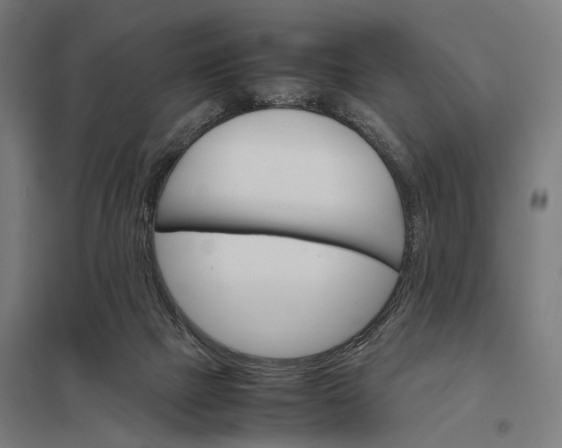 X0000097840073200803281234