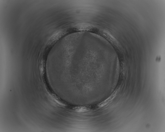 X0000097840074200803281234