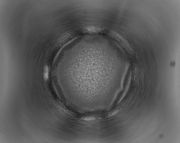 X0000097840075200803281234