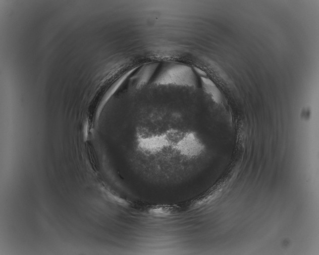 X0000097840076200803281234