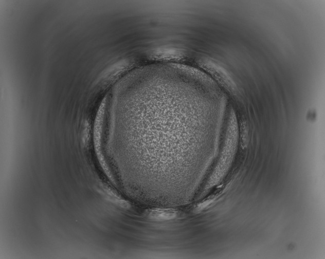 X0000097840077200803281234