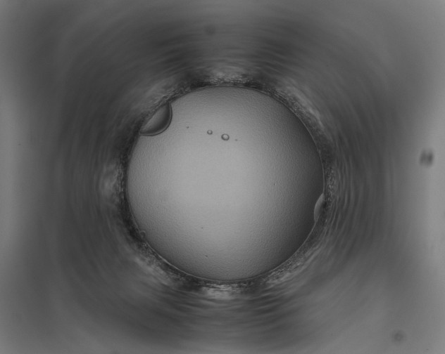 X0000097840079200803281234
