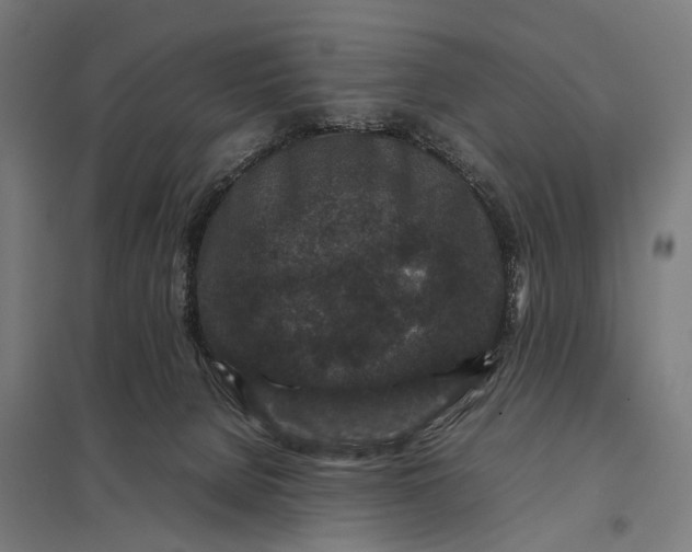 X0000097840080200803281234