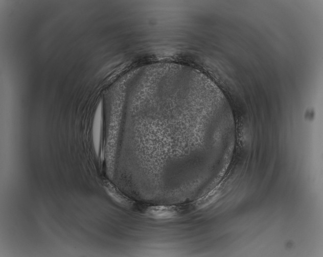 X0000097840082200803281234