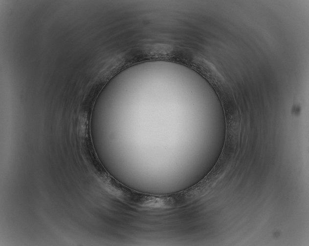 X0000097840083200803281234