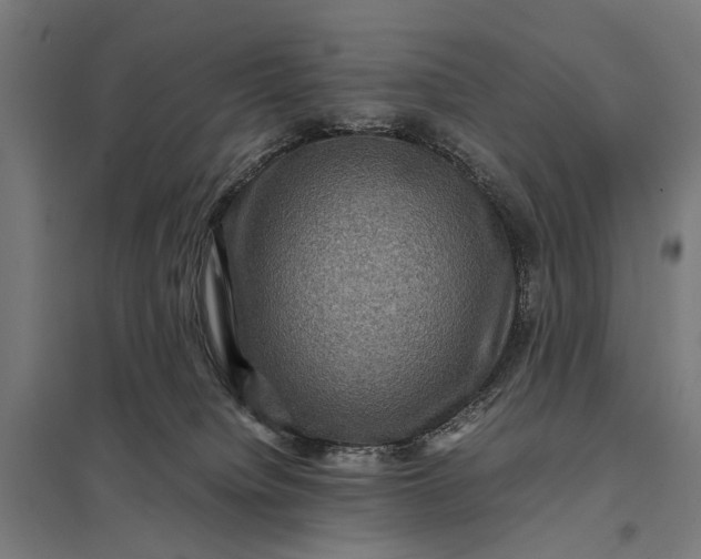 X0000097840084200803281234