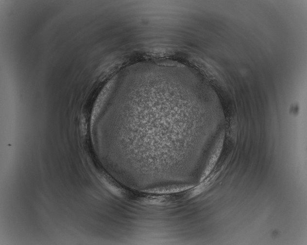 X0000097840086200803281234
