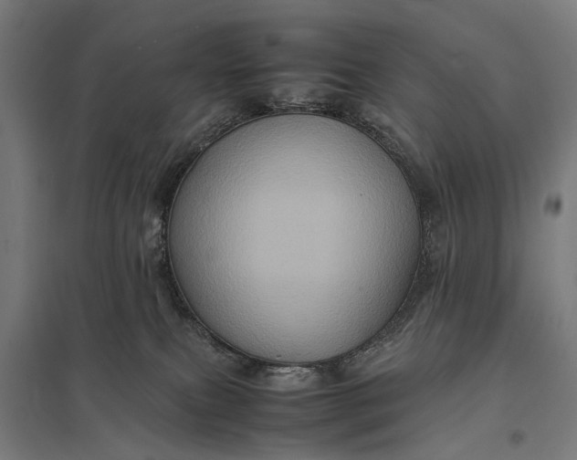 X0000097840087200803281234