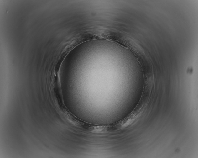 X0000097840088200803281234