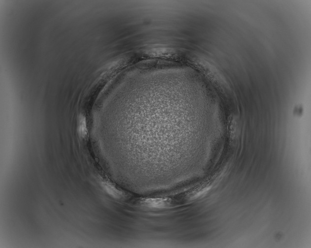 X0000097840089200803281234