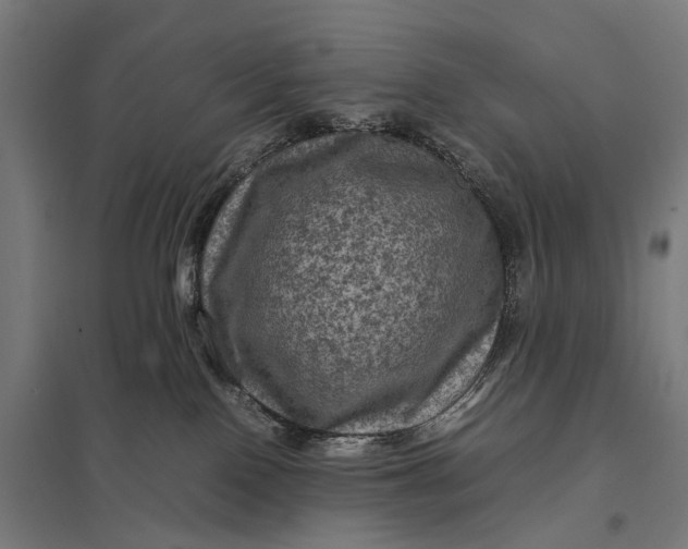 X0000097840090200803281234